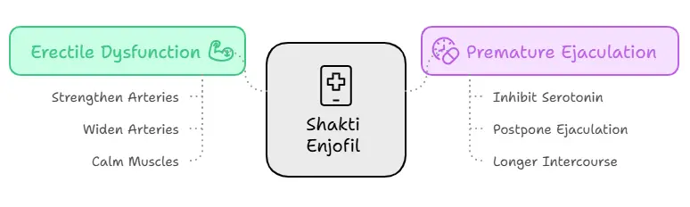 Shakti Enjofil
