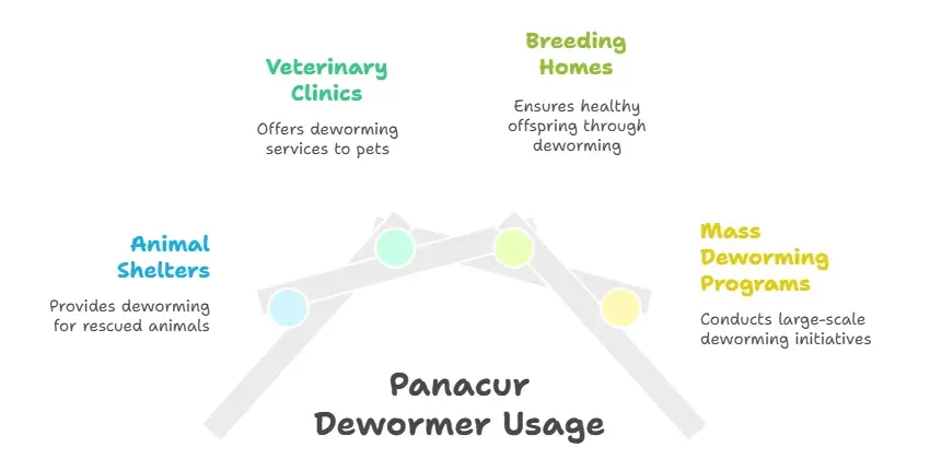 Panacur Dewormer for Dogs - Specialitymedz