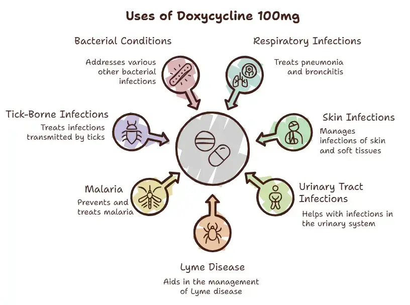 Medical Uses of Doxycycline 100mg - Specialitymedz