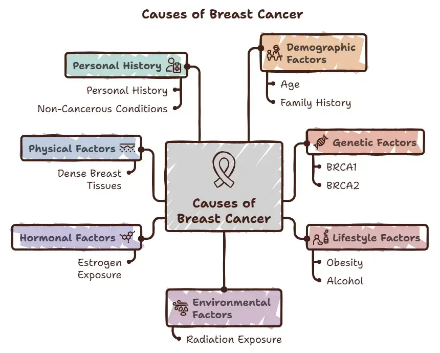 Causes of breast cancer - Specialitymedz